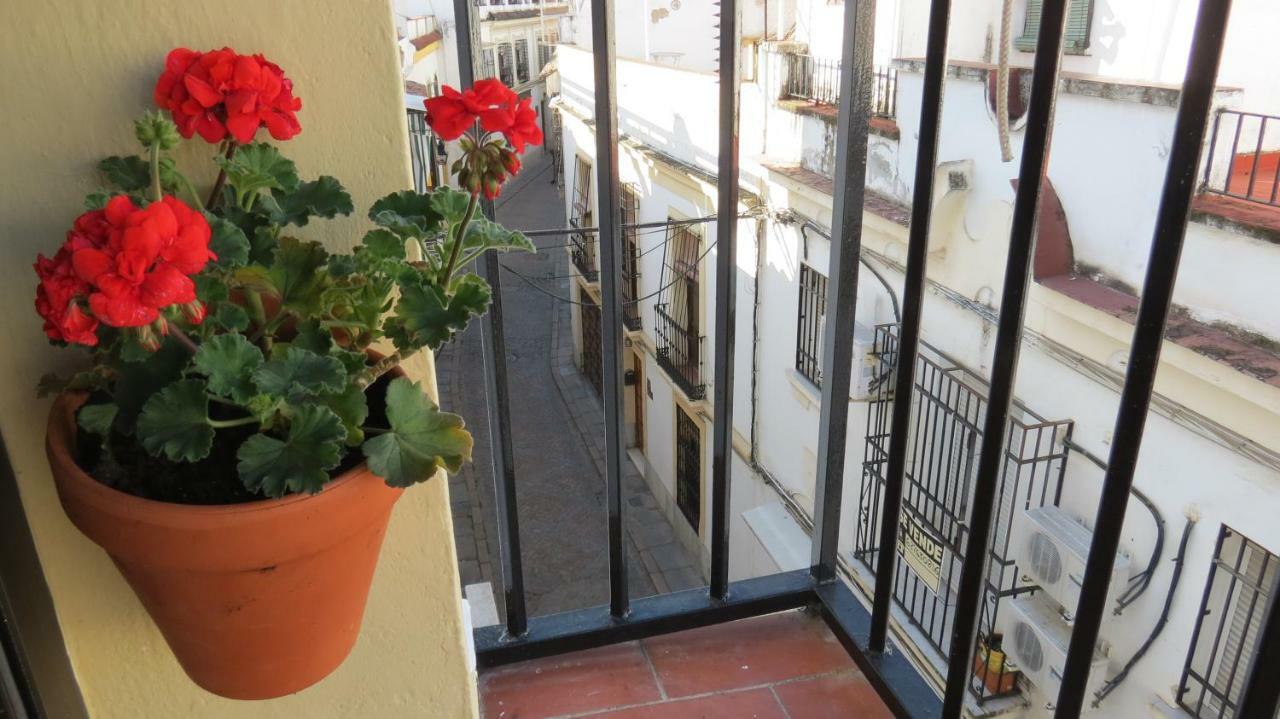 דירות קורדובה Patios De San Andres מראה חיצוני תמונה
